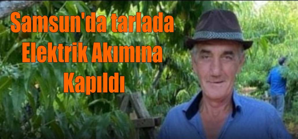 Samsun'da tarlada elektrik akımına kapıldı