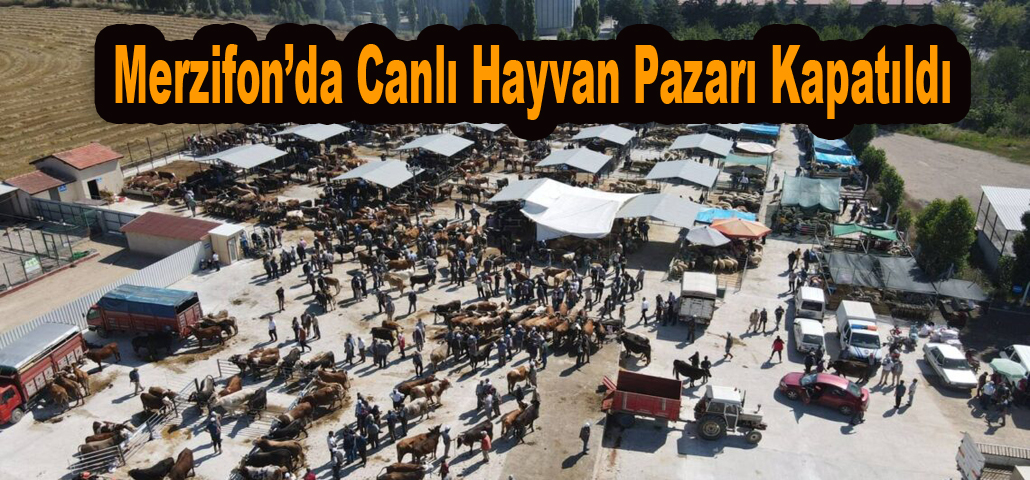 Merzifon’da Canlı Hayvan Pazarı Kapatıldı