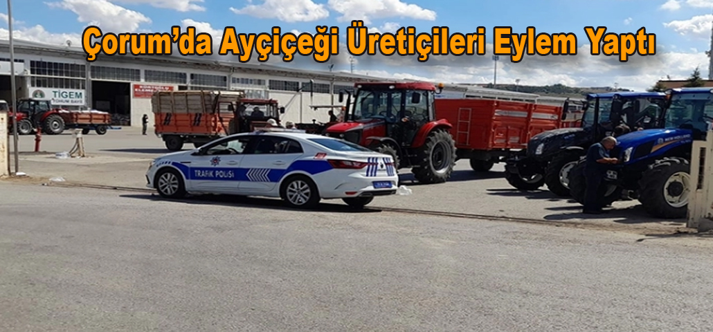 Çorum’da Ayçiçeği Üretiçileri Eylem Yaptı