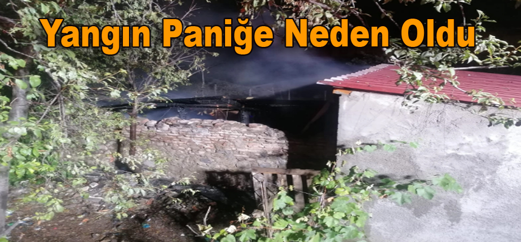Yangın Paniğe Neden Oldu