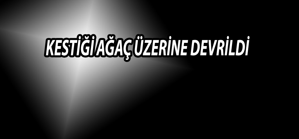 KESTİĞİ AĞAÇ ÜZERİNE DEVRİLDİ