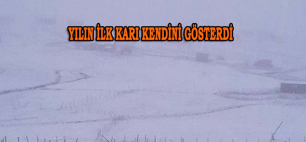 Yılın İlk Karı Kendini Gösterdi