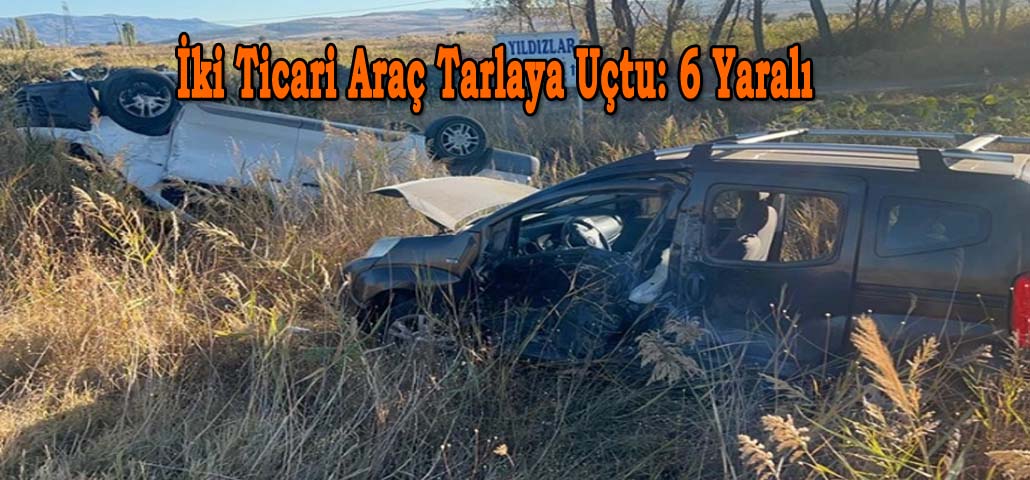İki Ticari Araç Tarlaya Uçtu: 6 Yaralı