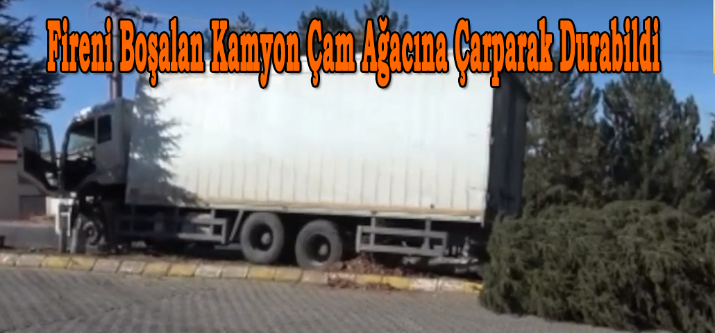 Fireni Boşalan Kamyon Çam Ağacına Çarparak Durabildi