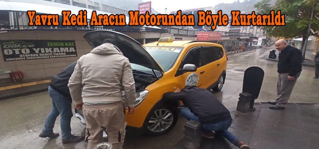 Yavru Kedi Aracın Motorundan Böyle Kurtarıldı