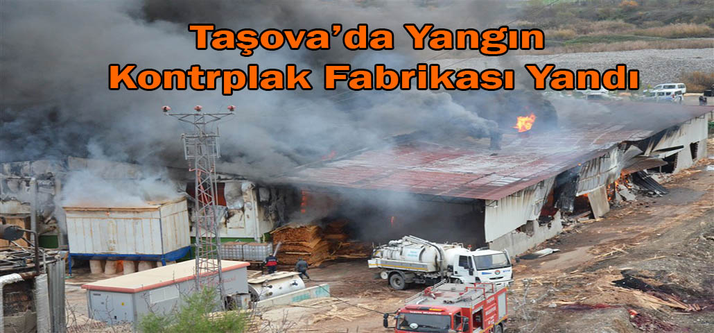 Taşova’da Yangın Kontrplak fabrikası Yandı