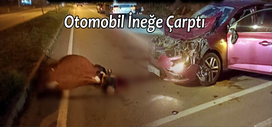 Otomobil İneğe Çarptı