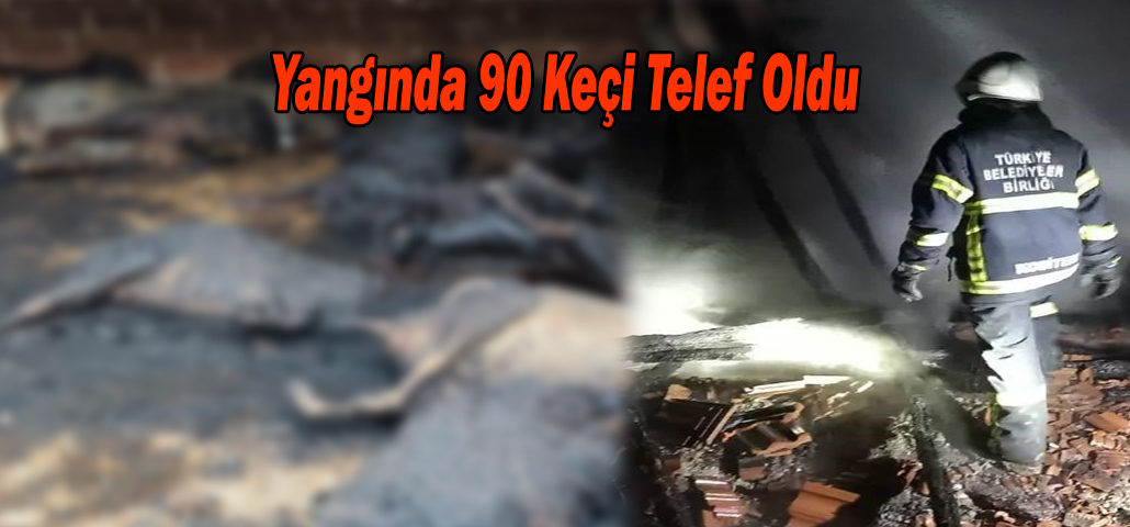 Yangında 90 Keçi Telef Oldu