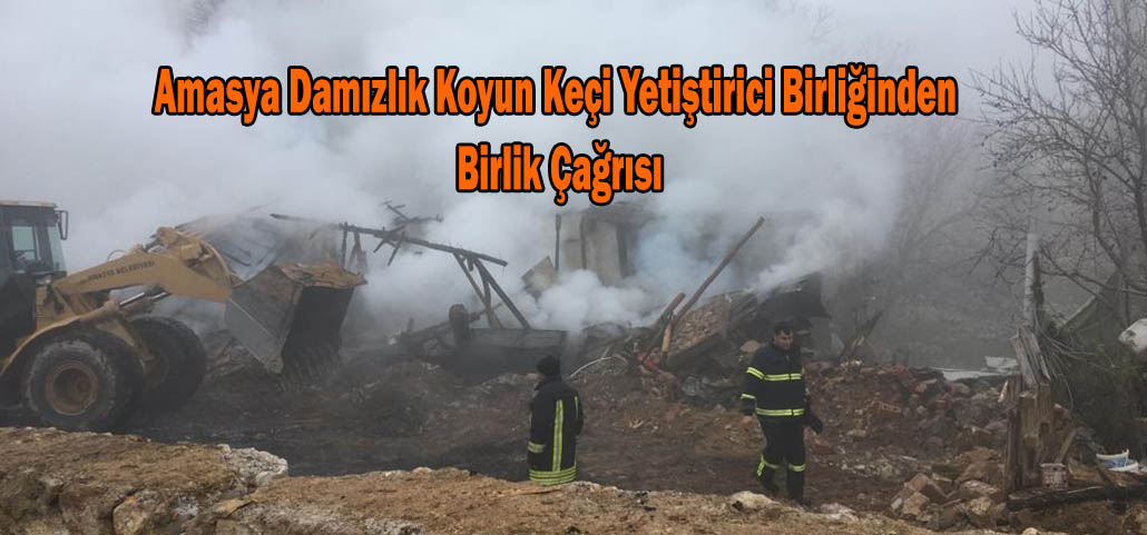 Amasya Damızlık Koyun Keçi Yetiştirici Birliğinden Birlik Çağrısı
