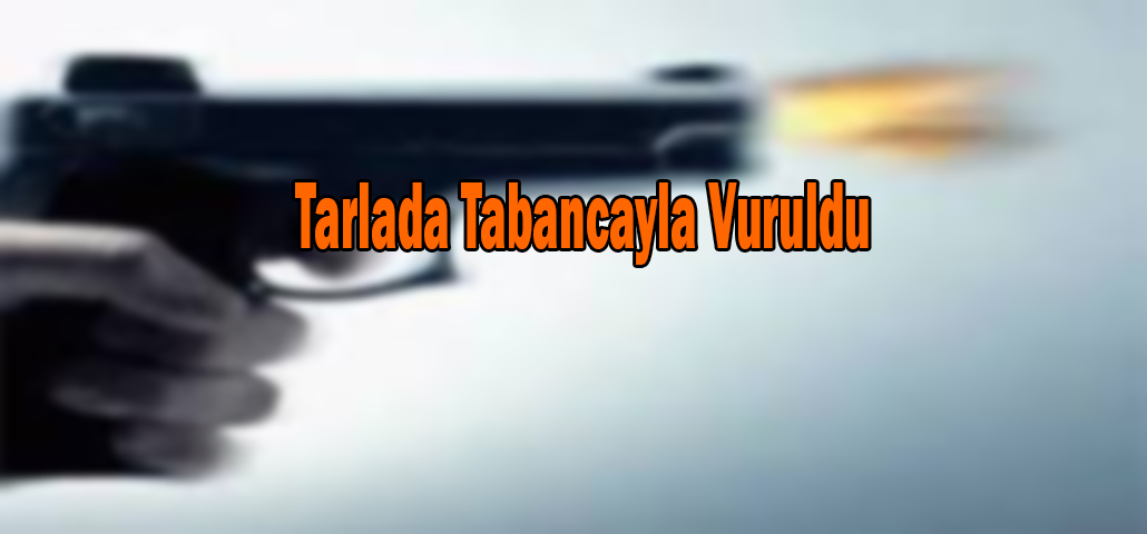 Tarlada Tabancayla Vuruldu