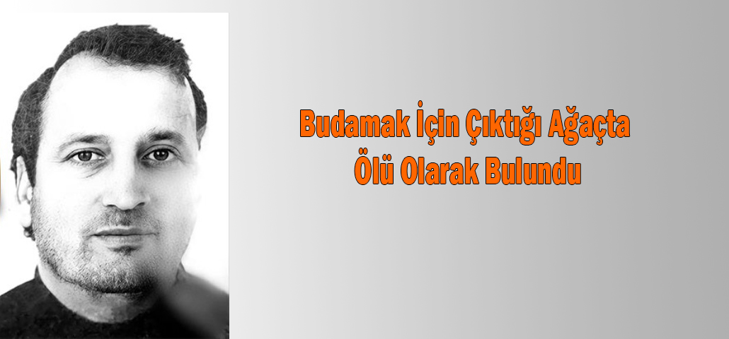 Budamak İçin Çıktığı Ağaçta Ölü Olarak Bulundu