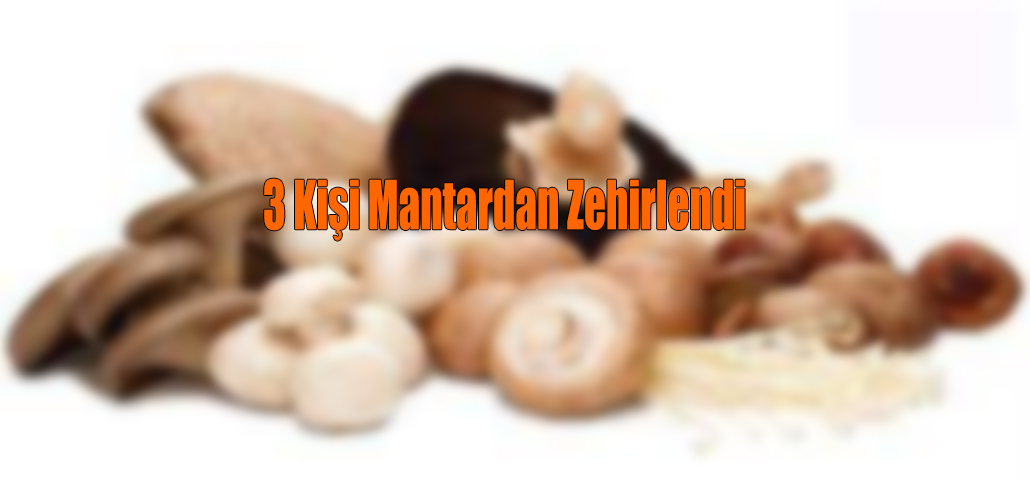 3 Kişi Mantardan Zehirlendi