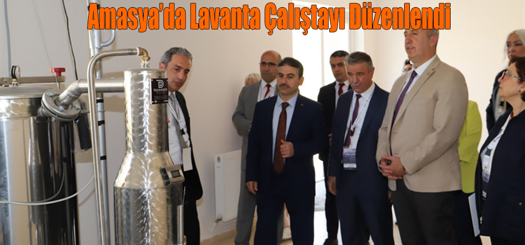 Amasya’da Lavanta Çalıştayı Düzenlendi
