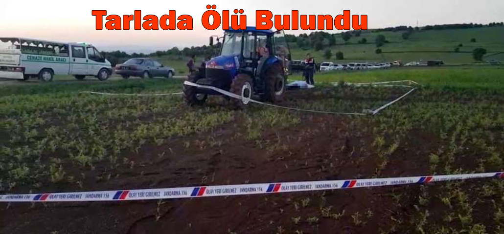 Tarlada Ölü Bulundu