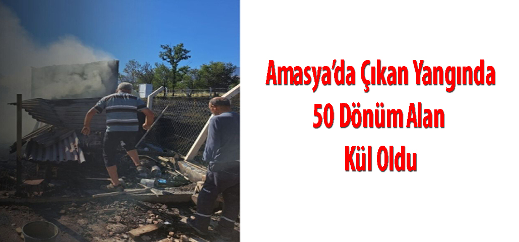  Amasya’da Çıkan Yangında 50 Dönüm Alan Kül Oldu