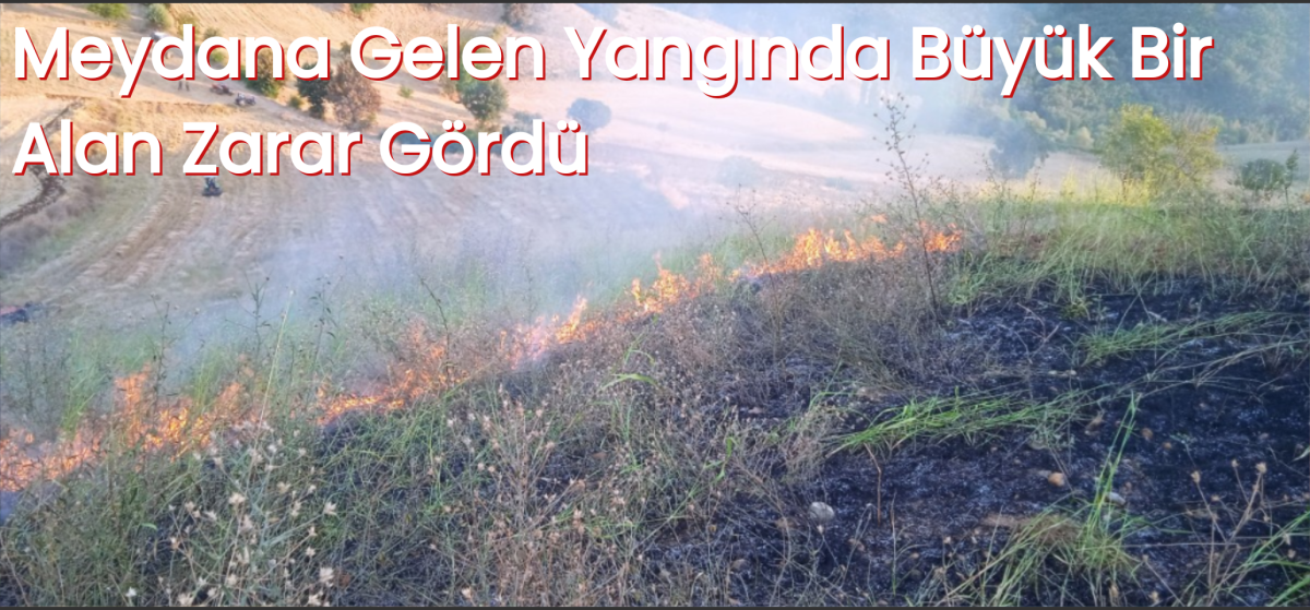 Meydana Gelen Yangında Büyük bir Alan Zarar Gördü