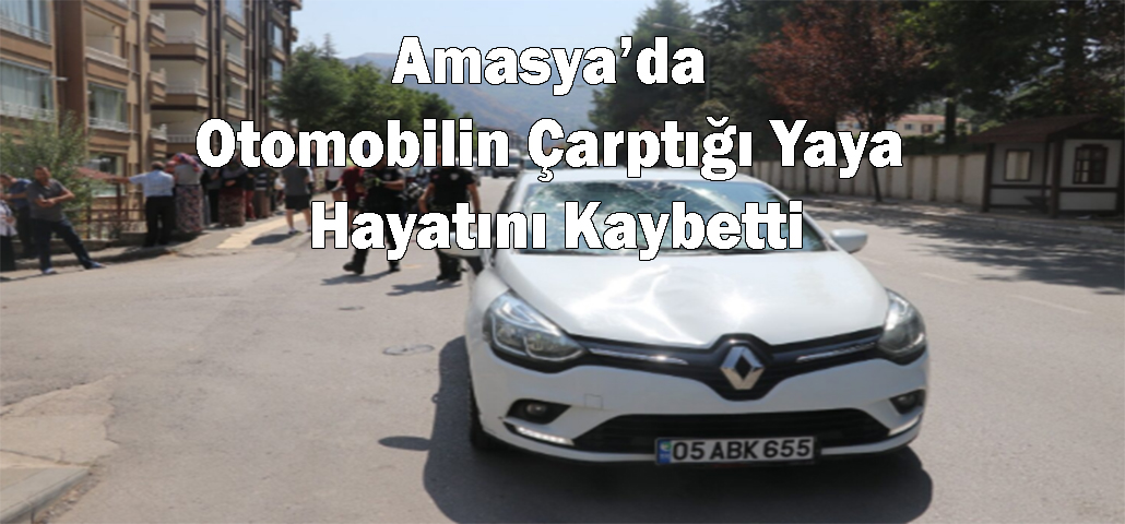 Amasya’da Otomobilin Çarptığı Yaya Hayatını Kaybetti