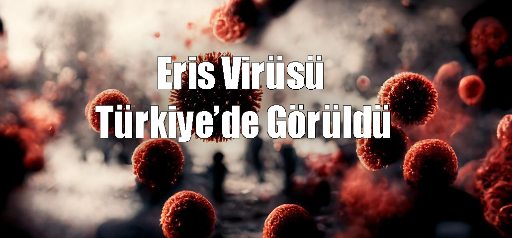 Eris Virüsü Türkiye’de Görüldü