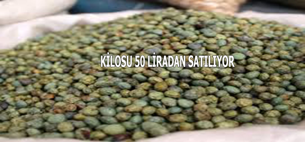 KİLOSU 50 LİRADAN SATILIYOR