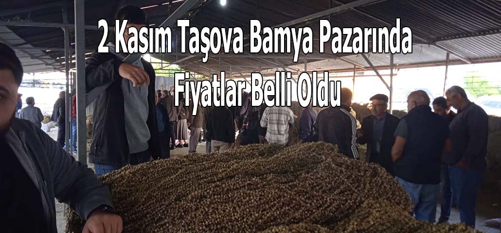 2 Kasım Taşova Bamya Pazarında Fiyatlar Belli Oldu
