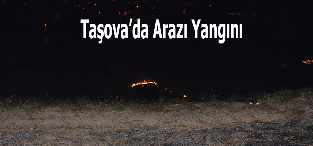 Taşova’da Arazı Yangını