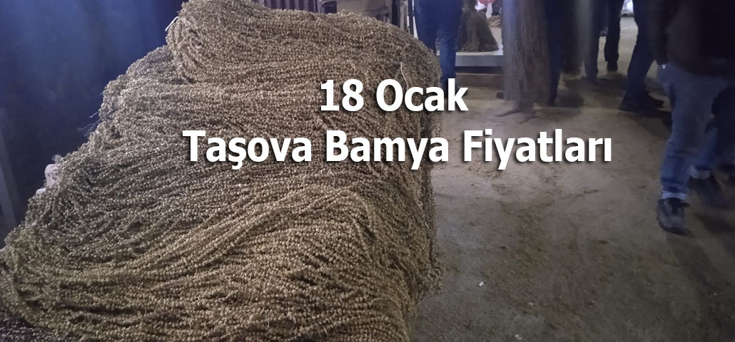 18 Ocak Taşova Bamya Fiyatları