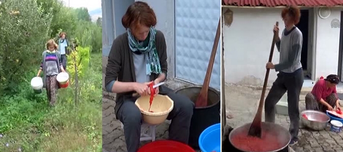 3 ALMAN TIP ÖĞRENCİSİ  AMASYA DA TARLADA ÇALIŞARAK TATİLLERİNİ YAPIYORLAR