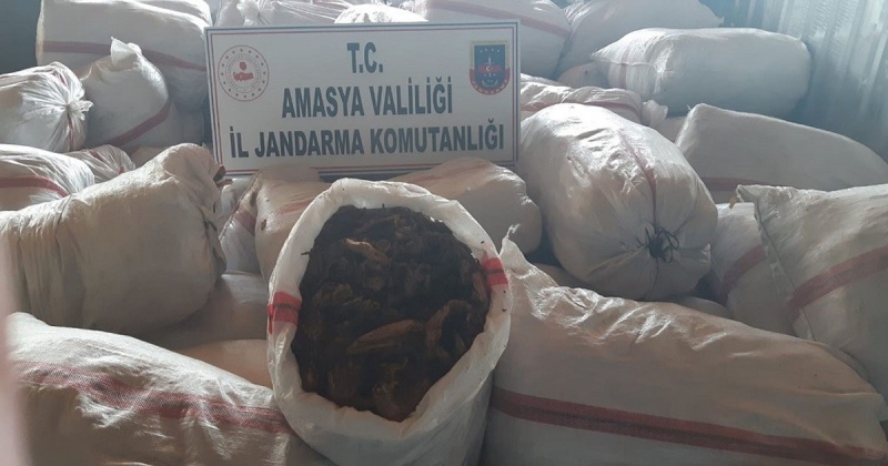 Amasya Jandarmadan Kaçak Tütün Operasyonu