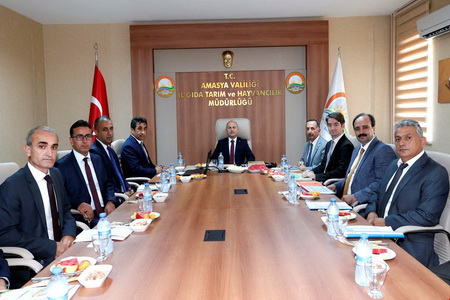 Amasya Tarım ve Hayvancılık’ta Önemli Bir Potansiyele Sahiptir