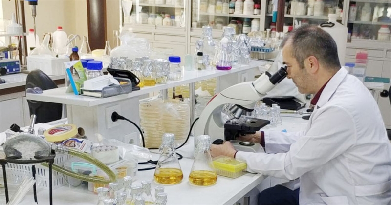 Amasya Üniversitesi’nden Yeni Bir Toprak Bakteri Türü Keşfi