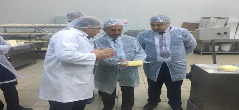 Amasya ve İlçelerinde Ürün Bazlı Gıda Denetimleri Gerçekleştirildi