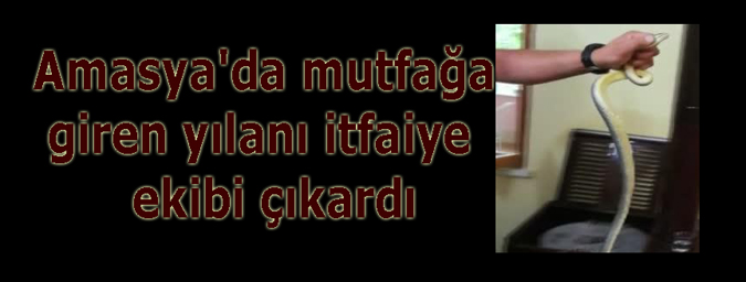 Amasya'da mutfağa giren yılanı itfaiye ekibi çıkardı
