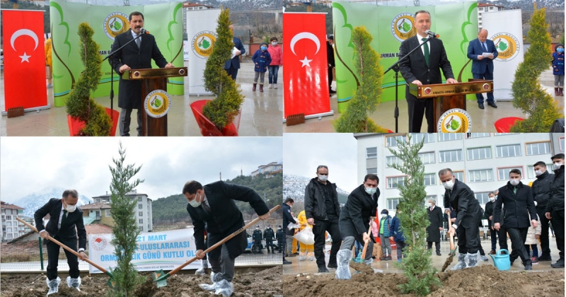 Amasya'da Orman Haftasında 30 Bin Fidan Toprakla Buluşturuluyor