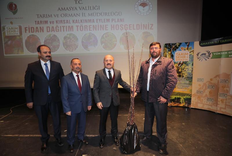 Amasya’mızın Geleceği Meyve Fidanları Sahiplerine Ulaştı
