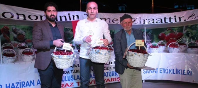 Amasya'nın Kirazları Yarıştı