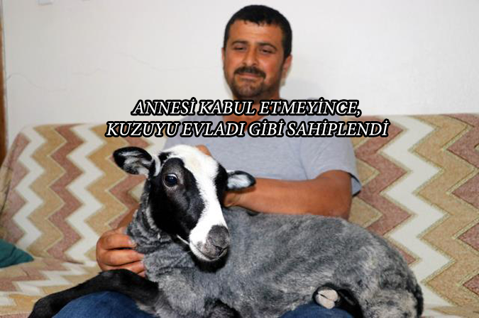 Annesinin kabul etmediği kuzu-Kara Kız'a evladı gibi bakıyor
