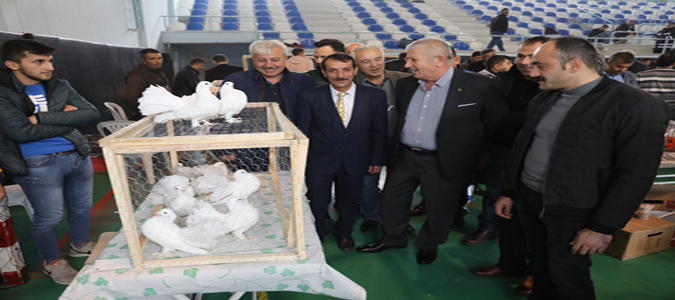 Başkan Sarı, Güvercin Tutkunları ile Bir Araya Geldi