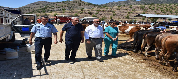 Başkan Yardımcısı Çoban, Canlı Hayvan Pazarında İncelemelerde Bulundu