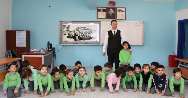  'Elim Sende'
