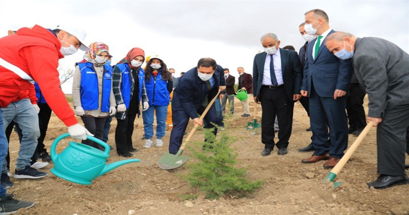 ‘Geleceğe Nefes, Dünyaya Nefes’ İçin Amasya'da İlk Fidanı Toprakla Buluştu