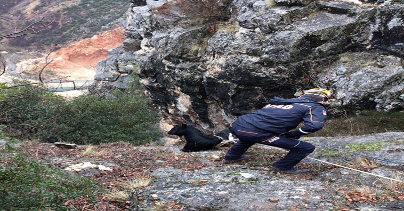 Kayalıkta Mahsur Kalan Keçi Kurtarıldı