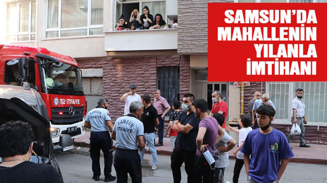  Mahallelinin Yılanla İmtihanı