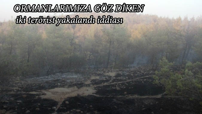 Ormanlarımıza Göz Diken İki terörist yakalandı iddiası