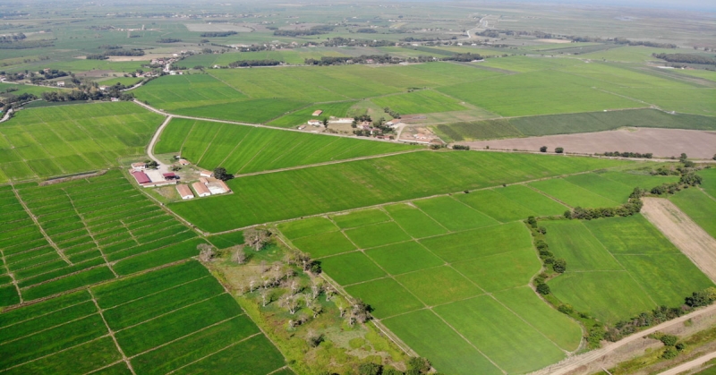 Samsun, Tokat, Amasya Ve Sinop İllerinde Toplulaştırma Çalışmaları Devam Ediyor