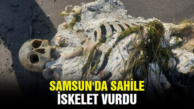 Samsun'da sahile iskelet vurdu