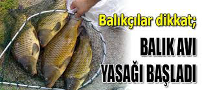  Su Ürünleri Av Yasağı Başladı