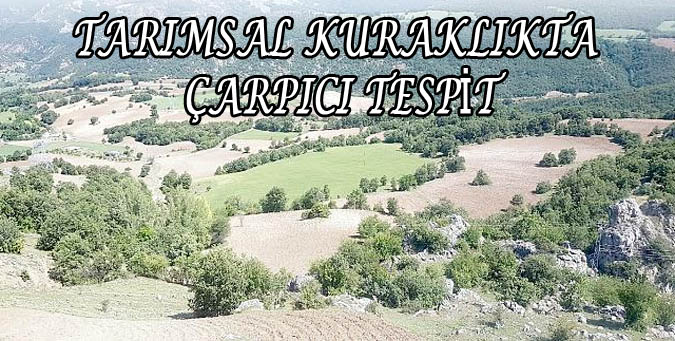 TARIMSAL KURAKLIKTA ÇARPICI TESPİT