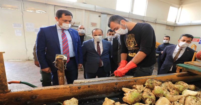 Vali MASATLI, Amasya Suluova Şeker Fabrikasında İncelemelerde bulundu