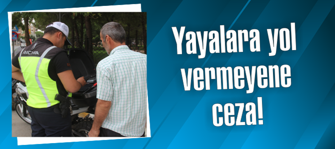 Yaya Geçitlerinde Kameralı Denetim