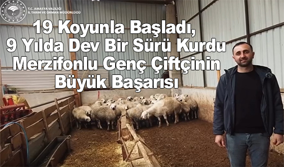 19 Koyunla Başladı, 9 Yılda Dev Bir Sürü Kurdu: Merzifonlu Genç Çiftçinin Büyük Başarısı